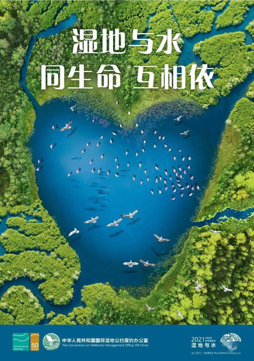 探索动物森林法则中的角色及其在生态系统中的重要性与生存策略