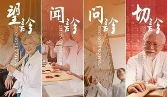 时凛医生短剧免费观看，医疗剧情感人，演技精湛，精彩不容错过！